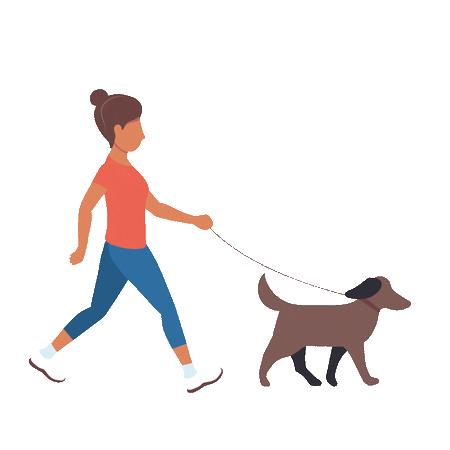 Walking Companion